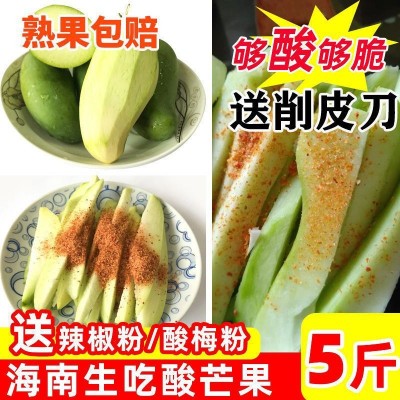 新鲜广西生芒果5斤酸嘢青芒果芽芒酸脆酸孕妇果生吃海南象牙芒1斤图2
