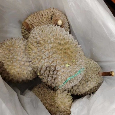猫山王榴莲d197马来西亚b果一箱批发20斤冰冻6颗液氮 巴掌榴莲图4