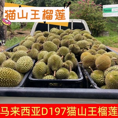 猫山王榴莲d197马来西亚冻榴莲A果4个冷冻4颗一箱 批发液氮榴莲图2