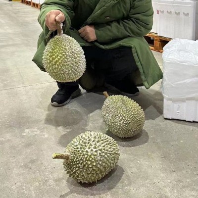 猫山王榴莲d197马来西亚冻榴莲A果4个冷冻4颗一箱 批发液氮榴莲图3