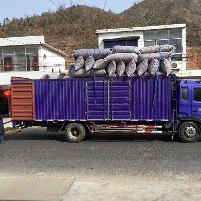 干香菇西峡香菇特产剪脚无根肉厚冬菇厚菇散装批发食用菌产地直供图4