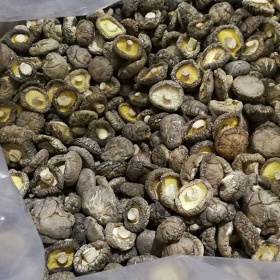 随州香菇菌菇 2.5小香菇干 随州冬菇厚菇干货厂家 可出口香菇图3