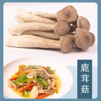 云南新鲜菌菇蘑菇组合1公斤礼盒装黑牛肝小香菇黑皮鸡枞鹿茸金耳图4