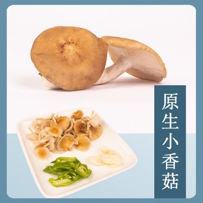 云南新鲜菌菇蘑菇组合1公斤礼盒装黑牛肝小香菇黑皮鸡枞鹿茸金耳图3