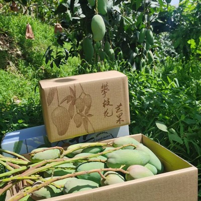 攀枝花小金煌核薄肉质厚5斤8斤普箱礼盒装一件无痕代发现货速发图3
