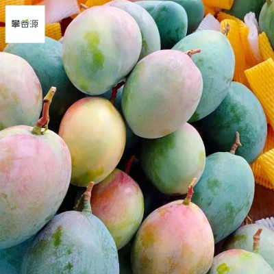7月底发货攀枝花凯特芒果产地直发5斤8斤普箱礼盒装一件包邮图2