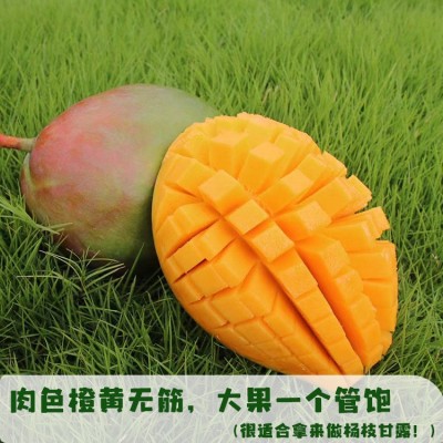 7月底发货攀枝花凯特芒果产地直发5斤8斤普箱礼盒装一件包邮图3