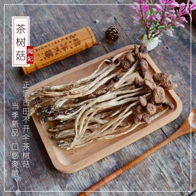 闽妃古田茶树菇干货不开伞250g 新货福建特产级小香菇食用菌蘑菇图2