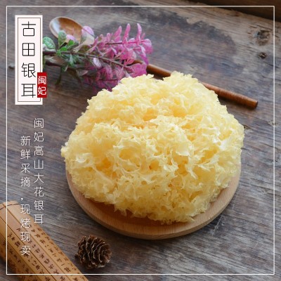 闽妃古田银耳干货100g福建特产白木耳雪耳新鲜糯耳丑耳莲子羹批发图2