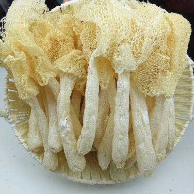 当季新货竹荪干货竹笙古田不熏硫农家货产地发货火锅煲汤食材500g图2