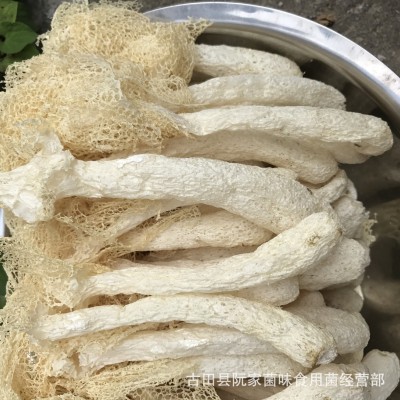 当季新货竹荪干货竹笙古田不熏硫农家货产地发货火锅煲汤食材500g图3