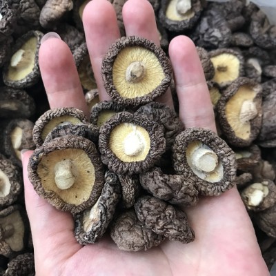 福建特产古田香菇干 冬菇蘑菇干货食用菌批发产地发货200g图5