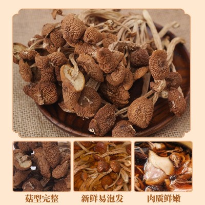 新货茶树菇150g黑面黄山特产茶薪菇安徽州山珍干香菇南北干货图3