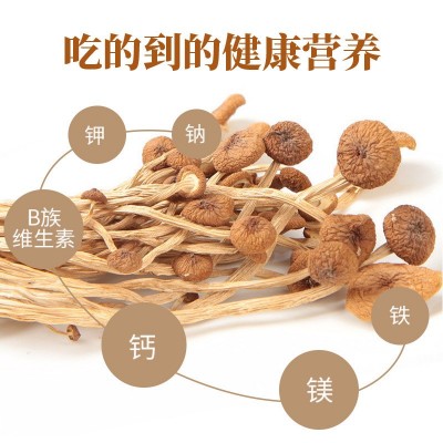 新货茶树菇150g黑面黄山特产茶薪菇安徽州山珍干香菇南北干货图2