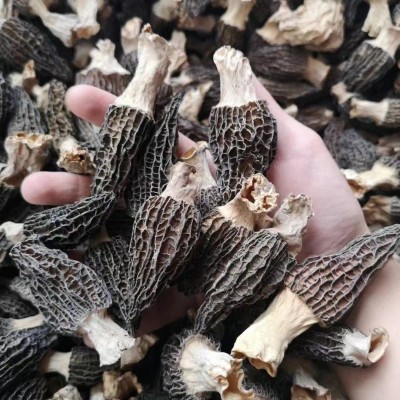 源头厂家头茬新货羊肚菌250克食用菌干货特产菌汤包酒店餐饮食材图2