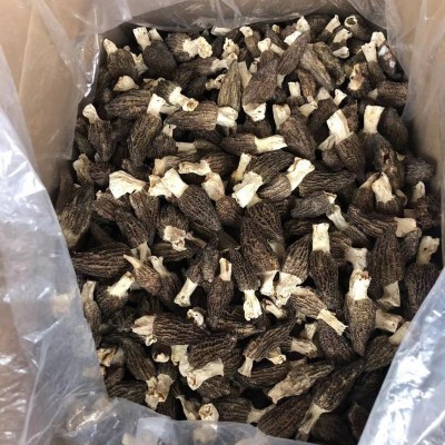 源头厂家头茬新货羊肚菌250克食用菌干货特产菌汤包酒店餐饮食材图4