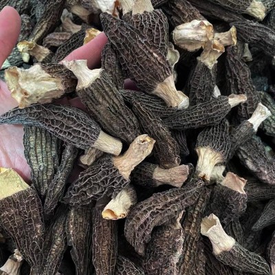 源头厂家头茬新货羊肚菌250克食用菌干货特产菌汤包酒店餐饮食材图5