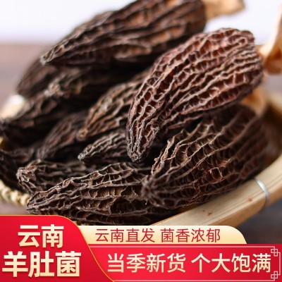 羊肚菌500g干货云南原产地土特产菌菇干货伴手礼羊肚菌菌汤包批发图1