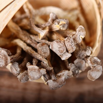 鹿茸菇干货500g鹿茸菌云南非野生脆脆菌菇煲汤蘑菇批发团购菌汤包图3