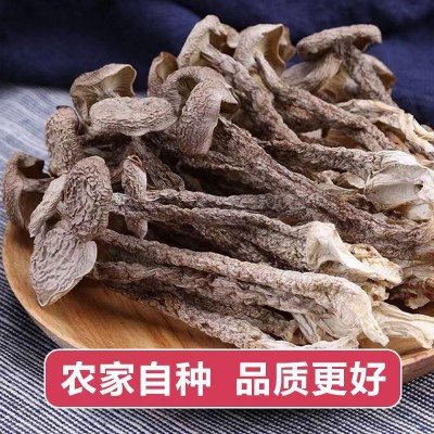 鹿茸菇干货 酒店专用火锅食材 鹿茸菌新货煲汤佳特色厂家直销菌菇图5