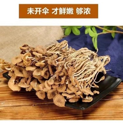 农家自种特产菌菇干货茶树菇不开伞厂家直销 量大批发 煲汤佳食材图2