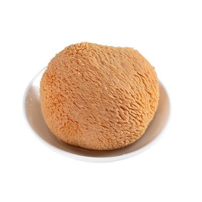 古田特产食用菌猴头菇干货 养胃煲汤食材去蒂猴头菇250g代发批发图4