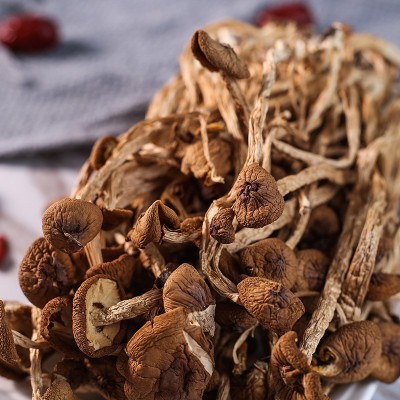 不开伞茶树菇250g包装 古田特产新货食用菌干货批发带SC 厂家批发图2