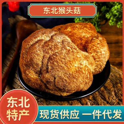 东北猴头菇干货200g 蘑菇煲汤猴头菌茹补胃特产自然成长猴头菇图2