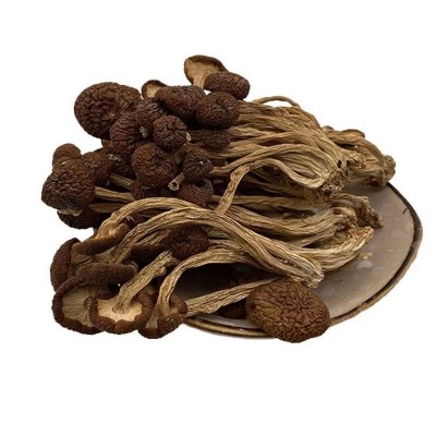 厂家直供古田新货不开伞茶树菇干货散装批发500g茶薪菇冰菇包邮图5