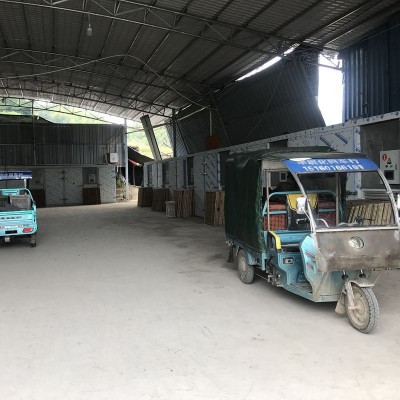 【基地直发】古田不开伞茶树菇干货散装批发 茶薪菇500g 产地直销图3