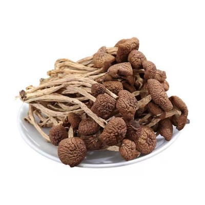 【基地直发】古田不开伞茶树菇干货散装批发 茶薪菇500g 产地直销图5
