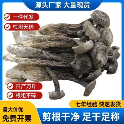 厂家直供鹿茸菇散装批发 鹿茸菌干货500g 食用菌酒店食材批发图3