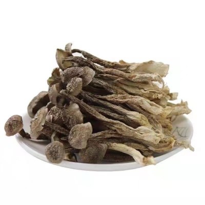 厂家直供鹿茸菇散装批发 鹿茸菌干货500g 食用菌酒店食材批发图5
