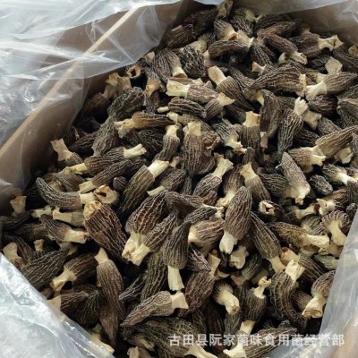 头茬云南羊肚菌干货500克剪柄无沙菌汤包煲汤食材干蘑菇肉厚鲜嫩图3
