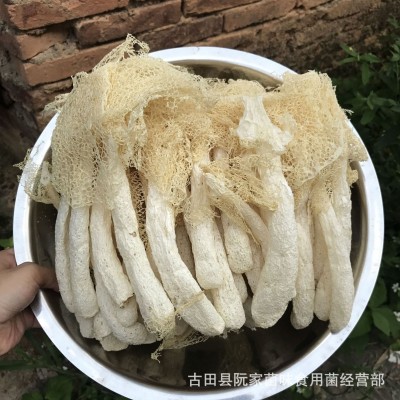 当季新货古田竹荪干货500g竹笙菇蕾不熏硫磺农家货菌菇火锅食材图3