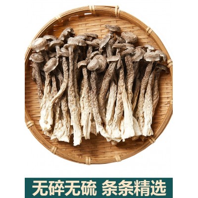 云南鹿茸菇干货鹿茸菌鹿耳菇新货无硫野生菌煲汤食材脆嫩无硫批发图3