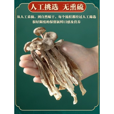 云南鹿茸菇干货鹿茸菌鹿耳菇新货无硫野生菌煲汤食材脆嫩无硫批发图2