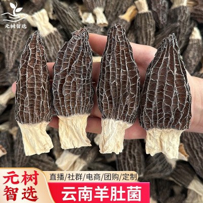 批发云南羊肚菌干货菌菇汤包产地头茬新鲜食用土特产菌菇类煲汤料图3