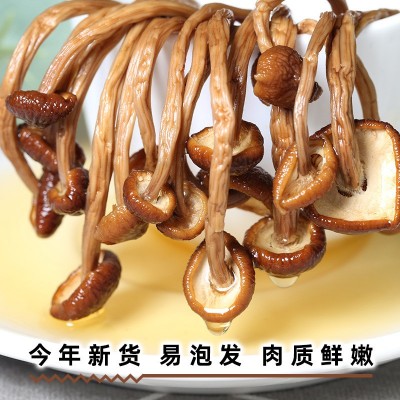 【批发代加工】茶树菇250克不开伞茶菇菌菇干货未开伞茶树菇图2