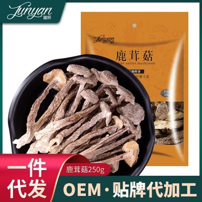【批发代加工】茶树菇250克不开伞茶菇菌菇干货未开伞茶树菇图5