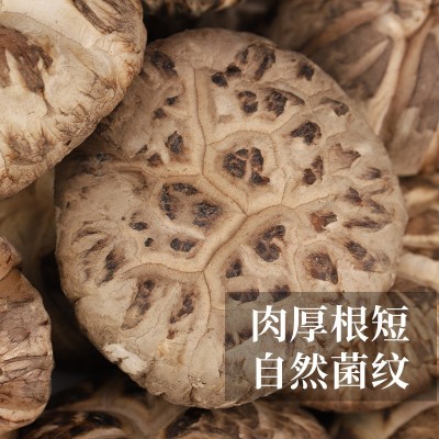 河南特产香菇干货椴木小花菇 农家土特产花菇干货250克装批发图3