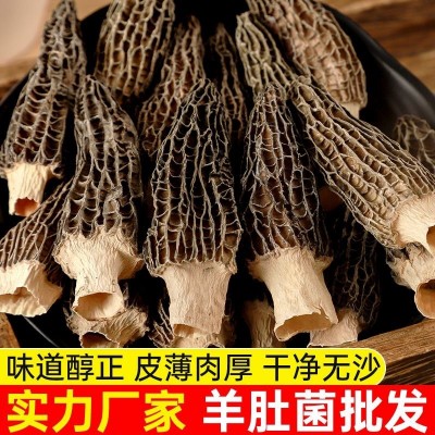 云南羊肚菌干货煲汤食材食用菌菇牛肚菌新鲜大个头肉厚高原香蘑菇图3