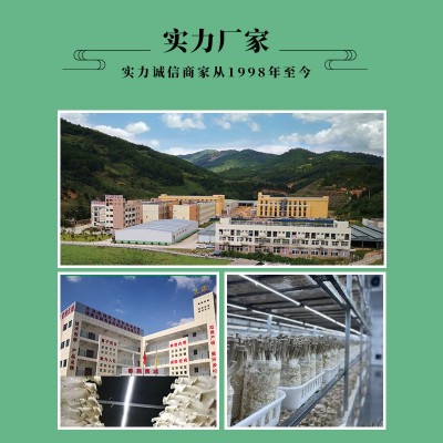 鹿茸菇　干锅食材　汤料食材图3