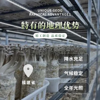 鹿茸菇　干锅食材　汤料食材图2