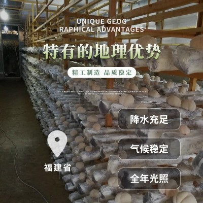 干品猴头菇（整个）清水猴头菇 冷冻猴头菇 可做不同规格图3