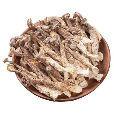 鹿茸菇云南菌菇厂家产地源头批发食用菌菇蘑菇干货特产代发图5
