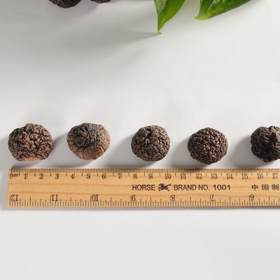 益燊小香菇 金钱菇珍珠菇冬菇食用菌干货 250g产地批发图3