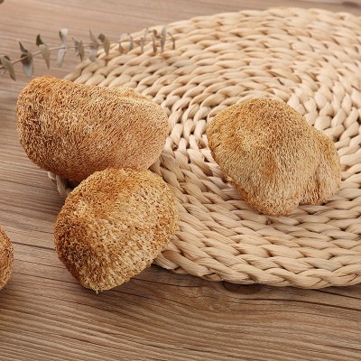 猴头菇干货农家食用菌菇猴头菇 福建特产菌菇煲汤料食材批发图2