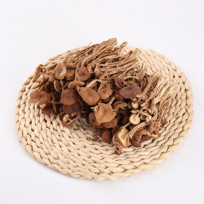 江西不开伞茶树菇干货批发 新鲜农家干菇批发香菇菌菇 散装批发图5