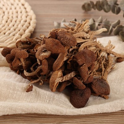 江西不开伞茶树菇干货批发 新鲜农家干菇批发香菇菌菇 散装批发图3